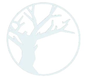 Backyard Festival logo