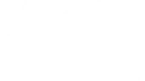 BASIS Outdoor logo