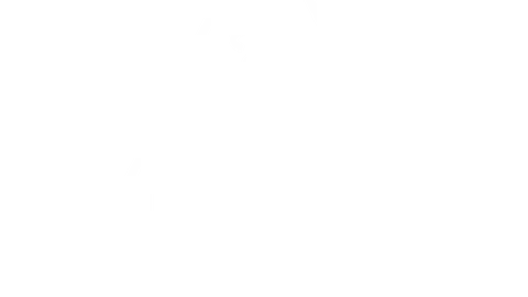 Into the Void logo