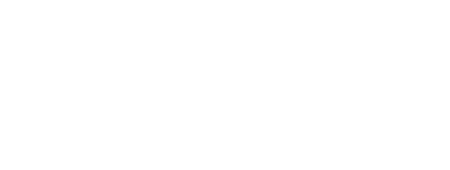 Tempo Festival logo