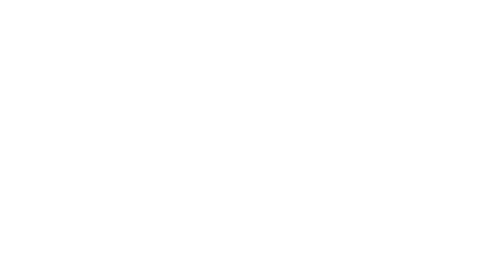 Veerplas Vrijmibo Festival logo