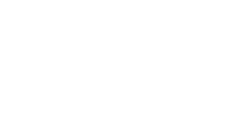 ViceFest logo